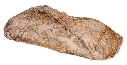 de Rinaldi Lab - CIABATTA